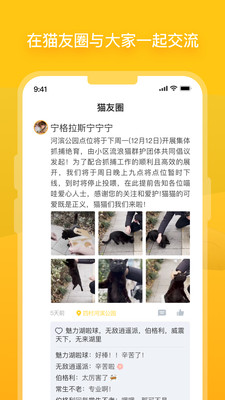 街猫app下载安装最新版